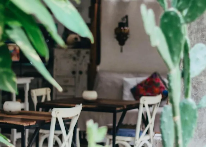 Verdeamar Eco Jungle Retreat Bed & Breakfast